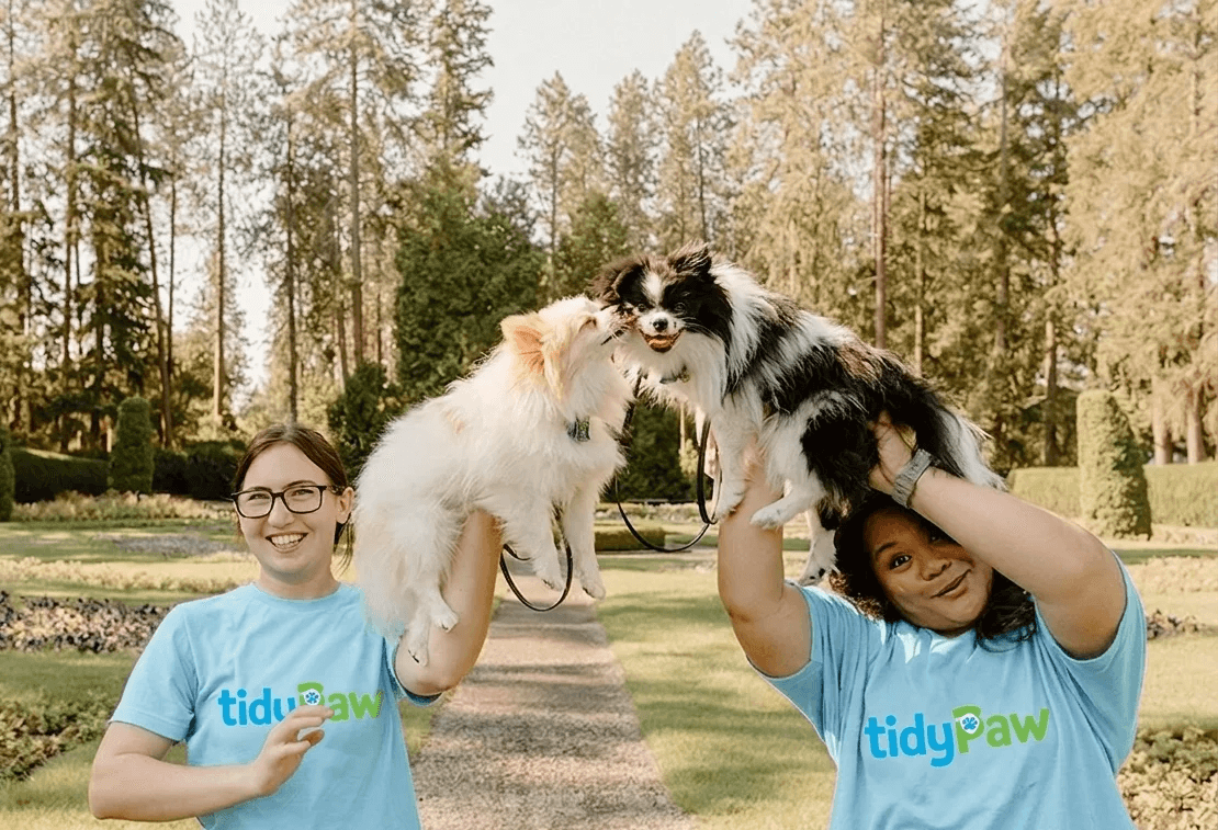 TidyPaw team members playing with dogs at a park